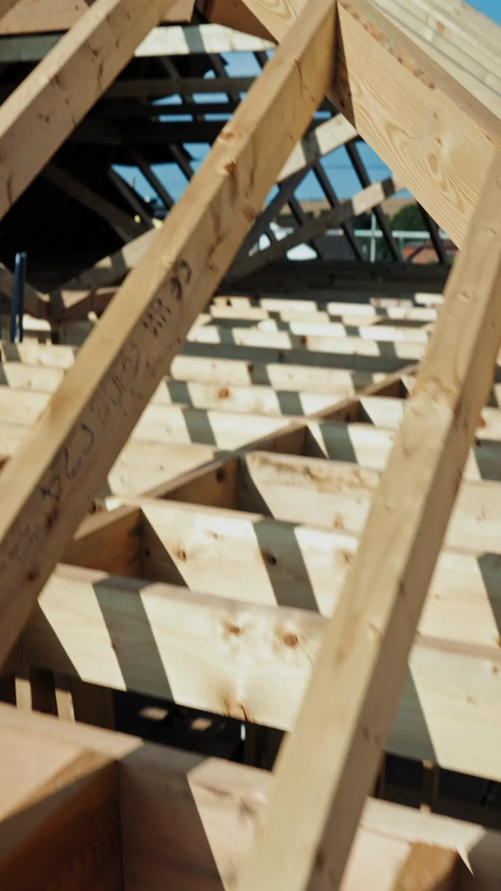 The new rafters against the sky